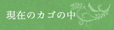 現在のカゴの中