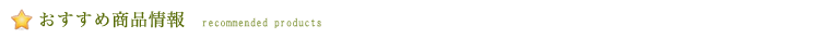 おすすめ商品情報